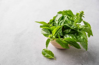 Ahşap kasede taze fesleğen, arka planda hafif bir arka planda. Diyet ve baharatlı bitkiler kavramı. Metin için boş alan. 