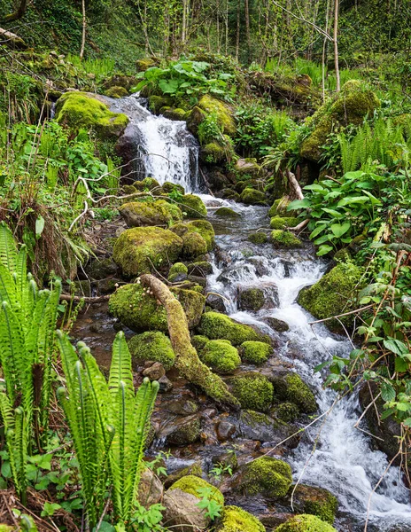 Cascata Cachoeira Floresta Tropical Com Pedras Musgo Dia Ensolarado Verão — Fotografia de Stock