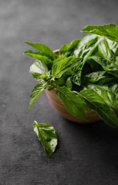 Koyu bir arka planda, ahşap bir kasede taze fesleğen. Diyet ve baharatlı bitkiler kavramı. Kırsal tarzda. Metin için boş alan. 