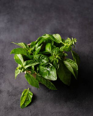 Koyu bir arka planda, ahşap bir kasede taze fesleğen. Diyet ve baharatlı bitkiler kavramı. Kırsal tarzda. Metin için üst görünüm ve boş alan. 