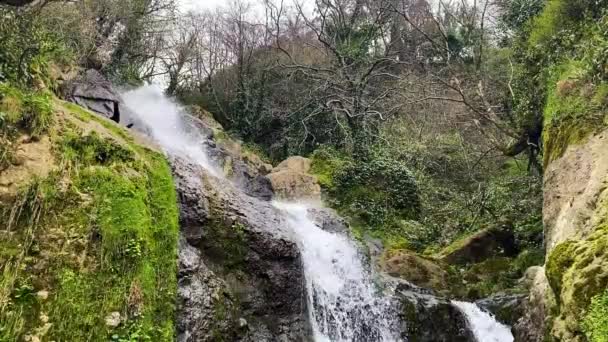 Uma Bela Cachoeira Desfiladeiro Montanha Com Rochas Flora Água Limpa — Vídeo de Stock