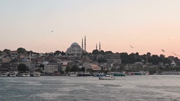 船や海の上にカモメを飛んで海からソフィアモスクへの夜の風景 イスタンブールの日没 トルコ — ストック動画