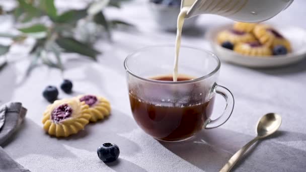 Cappuccino Latte Αφρό Γάλακτος Γυάλινο Κύπελλο Ελαφρύ Τραπέζι Και Μπισκότα — Αρχείο Βίντεο
