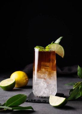 Limonlu, tonik ve limonlu kahve koyu bir arka planda narenciye ve dallı uzun bir bardakta. Kavramsal zanaat canlandırıcı moda içeceği. Ön görünüm ve boşluk kopyala.