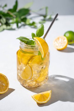 Limonata ya da taze limon, nane ve buzlu soğuk çay. Hafif arka planda taze meyve ve gölgelerle narenciye kokteyli. Ev yapımı sağlıklı ve detoks içeceği konsepti. 