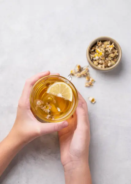 Hands holding a glass cup with chamomile herbal tea on a light background with dry flowers. The concept of a healthy drink for health and immunity. Top view and copy space.
