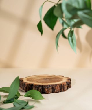 Soyut boş tahta kesme tahtası. Üzerinde gölgeler ve yeşil yapraklar var. Promosyon ürün sunumu, satış ya da kozmetik ekran düzeni konsepti. Ön görünüm ve boşluk kopyala.