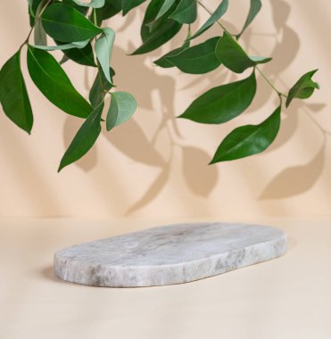 Bej arkaplanda gölgeler ve yeşil yapraklar olan soyut boş mermer tahta. Promosyon ürün sunumu, satış ya da kozmetik ekran düzeni konsepti. Ön görünüm ve boşluk kopyala.