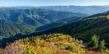 Renkli ağaçlarla, mavi gökyüzüyle ve güneşli bir günde kar zirveleriyle güzel bir dağ manzarası. Gürcistan dağlarında seyahat etmek. Gomismta Köyü.