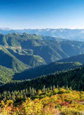 Renkli ağaçlarla, mavi gökyüzüyle ve güneşli bir günde kar zirveleriyle güzel bir dağ manzarası. Gürcistan dağlarında seyahat etmek. Gomismta Köyü.