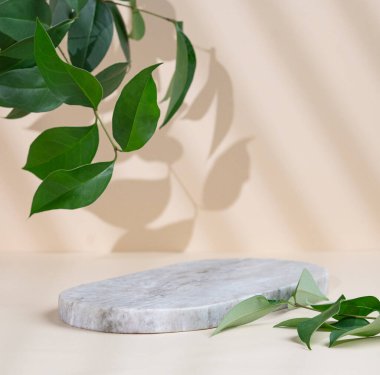 Bej arkaplanda gölgeler ve yeşil yapraklar olan soyut boş mermer tahta. Promosyon ürün sunumu, satış ya da kozmetik ekran düzeni konsepti. Ön görünüm ve boşluk kopyala.