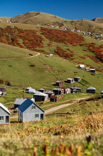 stock image Beautiful autumn mountain landscape with colorful trees, snow  peaks and houses. Traveling through the mountains of Georgia. The village of Gomismta.