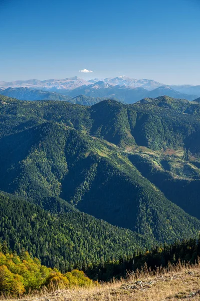 Renkli ağaçlar ve kar zirveleri olan güzel sonbahar dağ manzarası. Gürcistan dağlarında seyahat etmek. Gomismta Köyü.