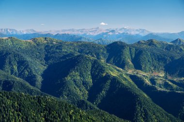 Yeşil ağaçlarla, mavi gökyüzüyle ve güneşli bir günde kar zirveleriyle güzel bir dağ manzarası. Gürcistan dağlarında seyahat etmek. Gomismta Köyü.