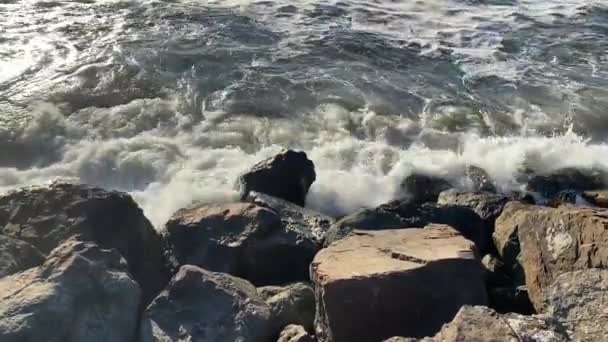 해변에 자갈과 클로즈업에 여름날 조지아 바투미 — 비디오
