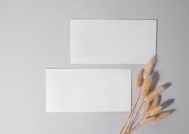 Açık arkaplanlı ve gölgeli, kurumuş çiçekli iki beyaz zarf. Bir ürün, satış ya da reklam afişi için harf, başlık ya da sunum kavramı. Üst görünüm ve kopyalama alanı.