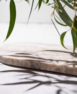 Açık arkaplanlı yeşil yapraklı boş mermer tahta. Promosyon ürünlerinin sunumu, satışı veya kozmetik ürünlerinin tanıtımı için tasarım. Ön görünüm ve boşluk kopyala.