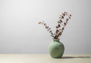 Kurumuş okaliptüslü yeşil vazo ve gölgeli gri arka planda bir ürünü sergilemek veya reklamını yapmak için alan. Metin için boş alan.