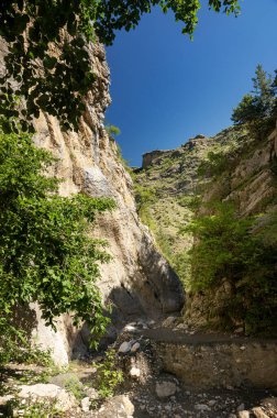 Güneşli bir yaz gününde açık mavi gökyüzü olan kayalık bir dağın güzel manzarası. Dağ yeşil ağaçlar, çalılar ve kuru bir dereyle kaplıdır. Dağıstan, Rusya.
