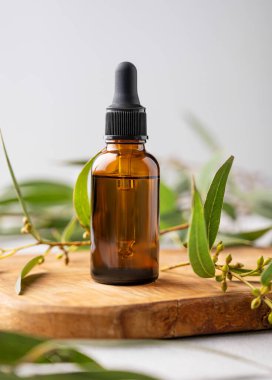 Ağaç bir tahtanın üzerinde yeşil yapraklı bir şişede yüz ve vücut serumu. Sağlık ve güzellik ürünleri sunumu, satış veya kozmetik reklam afişi için sahne kavramı. 