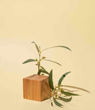 Gölgeli boş tahta küp ve sarı arka planda yeşil yapraklar. Promosyon ürünlerinin sunumu, satışı veya kozmetik ürünlerinin tanıtımı için tasarım. Ön görünüm ve boşluk kopyala.