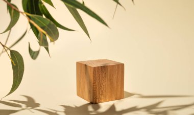 Gölgeli boş tahta küp ve gölgeli sarı arka planda yeşil yapraklar. Promosyon ürünlerinin sunumu, satışı veya kozmetik ürünlerinin tanıtımı için tasarım. Ön görünüm 