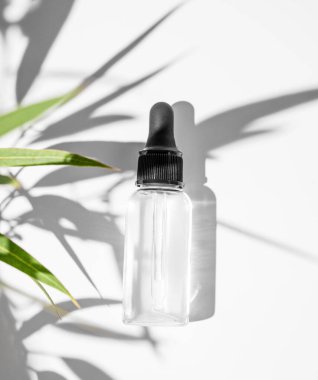 Beyaz arka planda yeşil yapraklı ve gölgeli vücut ve yüz masajı yağı. Sağlık ve güzellik ürünleri sunumu, satış veya kozmetik reklam pankartı konsepti. Üst görünüm.