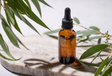 Beyaz arka planda yeşil yapraklı ve gölgeli mermer bir tahtada şişedeki yüz ve vücut serumu. Sağlık ve güzellik ürünleri sunumu, satış veya kozmetik reklamları için sahne kavramı 