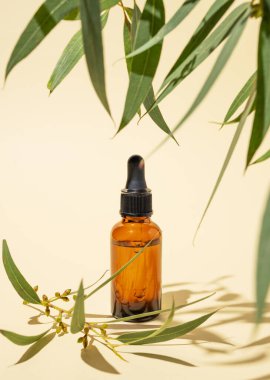 Sarı arka planda yeşil yapraklı ve gölgeli bir şişede yüz ve vücut serumu. Sağlık ve güzellik ürünleri sunumu, satış veya kozmetik reklam afişi için sahne kavramı. Boşluğu kopyala.