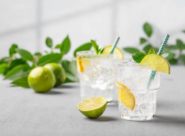 İki bardak mojito kokteyli ya da limonlu, limonlu, naneli ve buzlu tonik. Yaz konsepti, gölgeli hafif bir arka planda turunçgil meyveleriyle ferahlatıcı içecek.. 