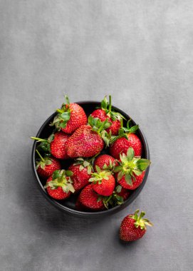 Gri arka planda siyah bir kasede çilek. Yaz mevsimi konsepti: Doğal ve sağlıklı çiftlik meyveleri. Üst görünüm ve kopyalama alanı. 