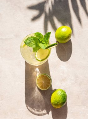 Naneli ve buzlu limonlu mojito. Hafif arka planda, palmiye yaprağı gölgesiyle taze narenciye kokteyli. Yaz soğuk limonata içkisi konsepti. Üst görünüm.