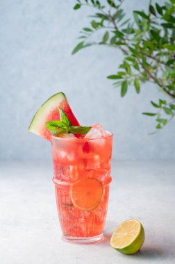 Limonlu, buzlu ve naneli karpuz mojito kokteyli mavi arka planda dallı. Yaz ferahlatıcı limonata içeceği konsepti. Ön görünüm.