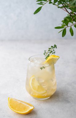 Taze limonlu, naneli ve buzlu mojito kokteyli. Hafif arka planda yapraklı limonata içeceğiz. Yaz modasına uygun soğuk içecek konsepti. Boşluğu kopyala.