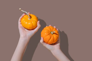 Kahverengi arka planda dekoratif balkabakları tutan iki el. Şükran Günü ya da Cadılar Bayramı sonbahar tatili konsepti. Reklam veya afiş tasarımı için minimalist kompozisyon. Metin için boş alan.