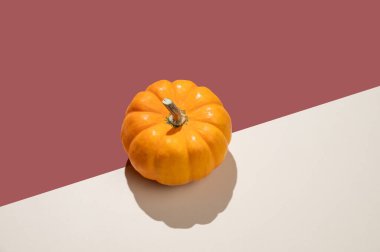 Parlak arka planda sert gölgeli dekoratif balkabağı. Şükran Günü ya da Cadılar Bayramı sonbahar tatili konsepti. Reklam veya afiş tasarımı için minimalist kompozisyon. Üst görünüm ve kopyalama alanı.