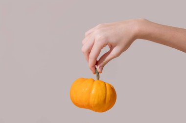 Gri arka planda dekoratif balkabağı tutan el. Şükran Günü ya da Cadılar Bayramı sonbahar tatili konsepti. Reklam veya afiş tasarımı için minimalist kompozisyon. Metin için boş alan.