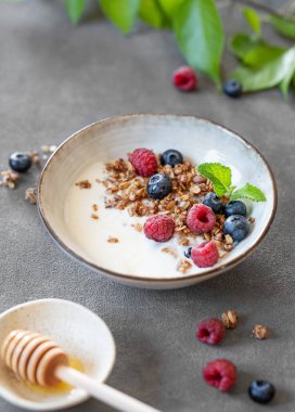 Yunan yoğurdu, ahududu, böğürtlen ve ballı granola yeşil yapraklı koyu bir arka planda. Süt ürünleri, yulaf ezmesi ve taze böğürtlenlerden yapılmış ev yapımı kahvaltı konsepti. 