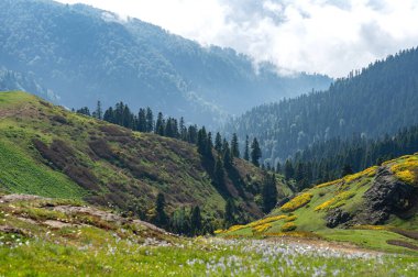 Green mountains with trees, flowers and fresh grass under cloudy sky. Natural landscape concept, summer day in Adjara, Georgia clipart