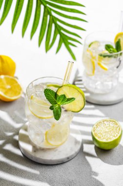 İki bardak mojito kokteyli. Taze limon, limon, nane ve buzlu. Arka planda bir palmiye dalı ve güneş ışığı var. Modaya uygun bir yaz konsepti limonlu moktail içeceği..