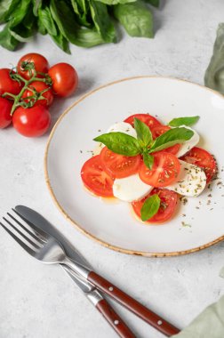 Dilimlenmiş domatesli Caprese salatası, mozzarella ve hafif bir arka planda taze otlar ve sebzelerle dolu bir tabakta fesleğen. Sağlıklı Akdeniz mutfağı kavramı. 
