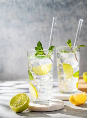 İki bardak mojito kokteyli, taze limonlu, naneli ve buzlu ve gölgeli. Turunçgil meyveli yaz ferahlatıcı içecek konsepti. Ön görünüm, boşluğu kopyala.