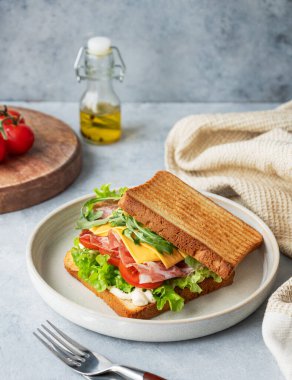 Domuz pastırmalı, peynirli, domatesli, marullu, roka soslu tost ekmeği ve yağlı ve peçeteli mavi bir tabakta. Sağlıklı ve besleyici kahvaltı konsepti. Boşluğu kopyala.