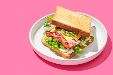 Pastırmalı, peynirli, domatesli, marullu, roka soslu ve pembe arka planda gölgeli tost kulübü sandviçi. Menü reklamcılığı veya sağlıklı yemek afişi için kahvaltı konsepti. Boşluğu kopyala.