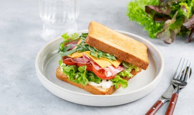 Domuz pastırmalı, peynirli, domatesli, marullu, roka soslu tost ekmeği. Hafif bir arka planda, bir bardak su ve bitkiyle birlikte. Sağlıklı ve besleyici kahvaltı konsepti. Boşluğu kopyala.