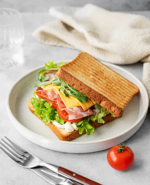 Pastırmalı tost ekmeği, peynir, domates, marul, roka ve sos hafif bir arka planda bir tabakta su ve peçeteyle. Sağlıklı ve besleyici kahvaltı konsepti. 