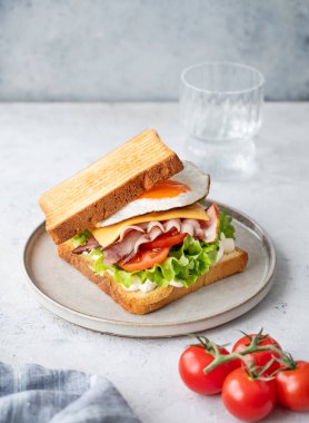 Yumurtalı, pastırmalı, peynirli, domatesli, marullu ve soslu bir tost sandviçi ve bir bardak su. Sağlıklı ve besleyici kahvaltı konsepti. Boşluğu kopyala.