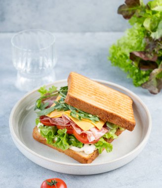Domuz pastırmalı, peynirli, domatesli, marullu, roka soslu, hafif arkaplanlı ve bir bardak su ve taze otlu tost ekmeği. Sağlıklı ve besleyici kahvaltı konsepti. Boşluğu kopyala.