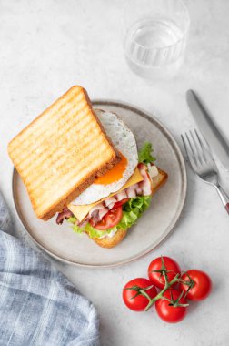 Yumurtalı, pastırmalı, peynirli, domatesli, marullu ve soslu bir tost sandviçi ve bir bardak su. Sağlıklı ve besleyici kahvaltı konsepti. Üst görünüm, alanı kopyala.