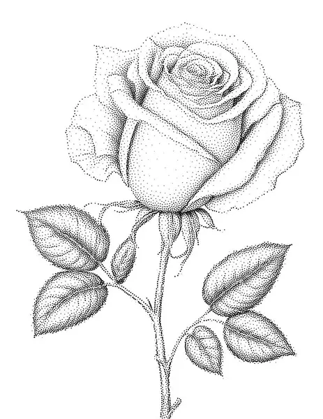 Yaprak vektör illüstrasyonlu noktalama biçimi gül
